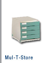 Mul-t-store
